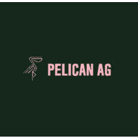 Pelican