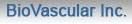 BioVascular