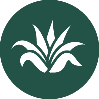 Agave Health