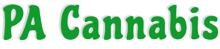Pennsylvania Cannabis