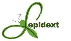 Lepidext