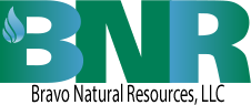 Bravo Natural Resources