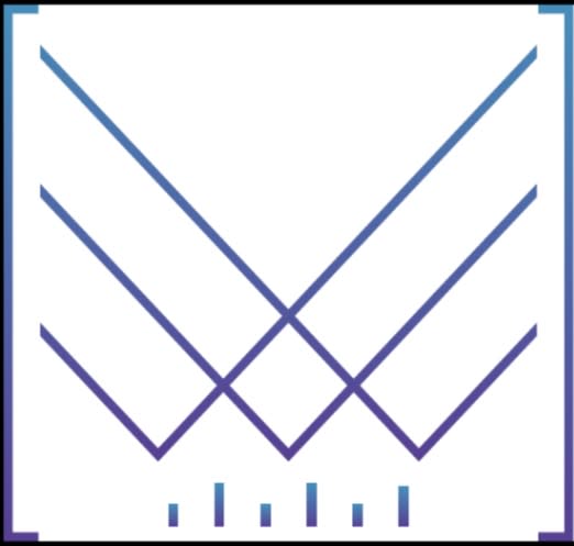 Vastly Valuable Ventures logo