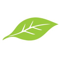Community Food Co-op