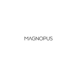 Magnopus