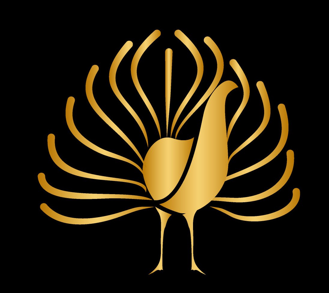 Peacock Ventures logo