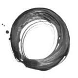 Full Circle Biochar