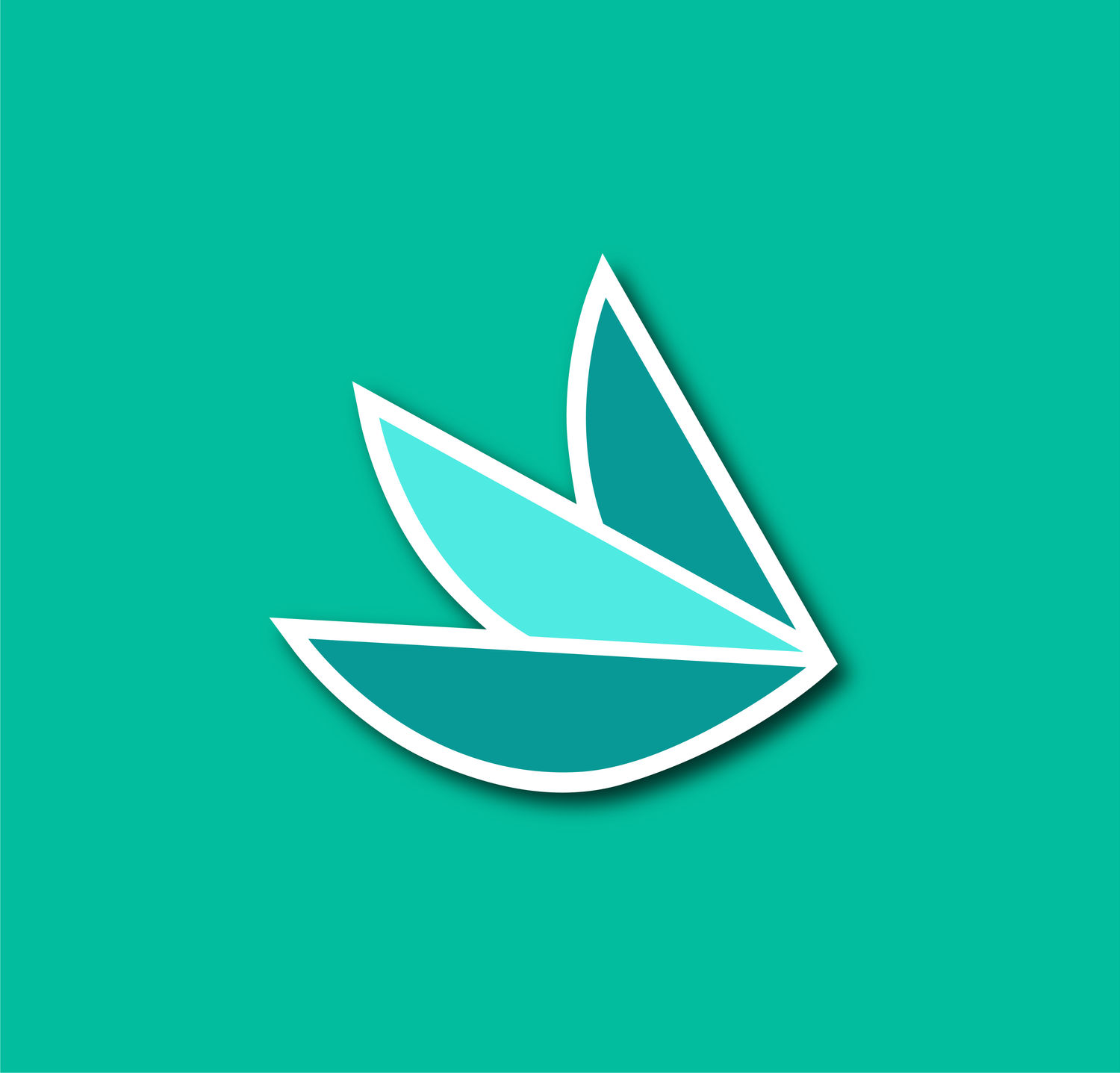 Fluttr