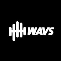 Wavs Custom