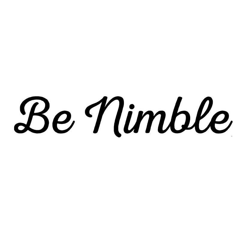 Be Nimble Foundation logo