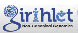 Girihlet