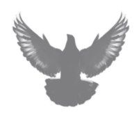 PGN Drone Technologies
