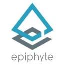 Epiphyte