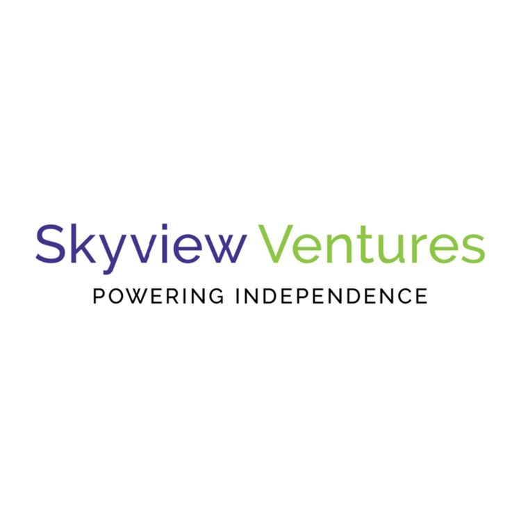 Skyview Ventures