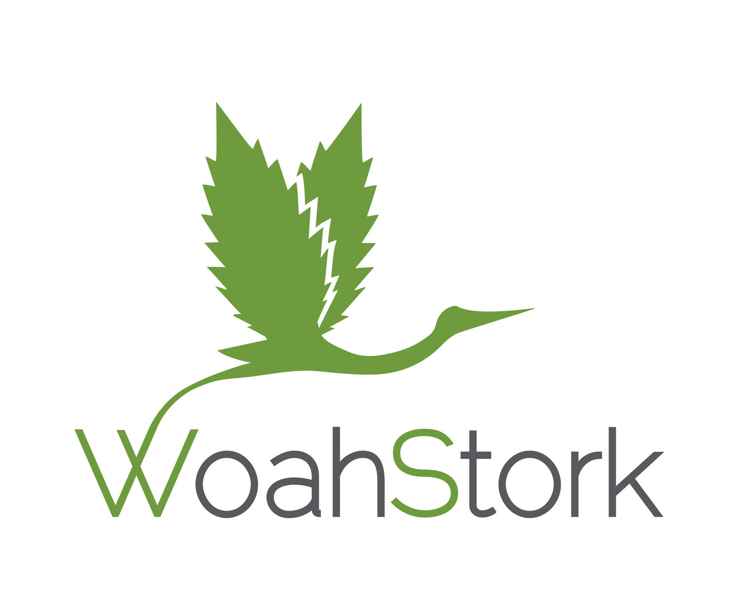 WoahStork