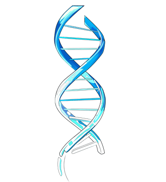 Streamline Genomics