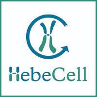 HebeCell