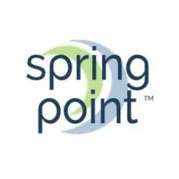Spring Point Solutions