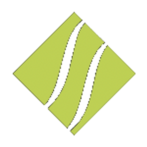 Silex Systems logo