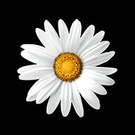 Implenia logo