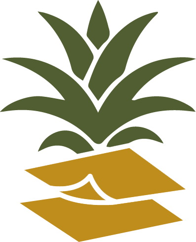 PiLeatha logo