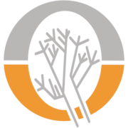 Orion Minerals logo