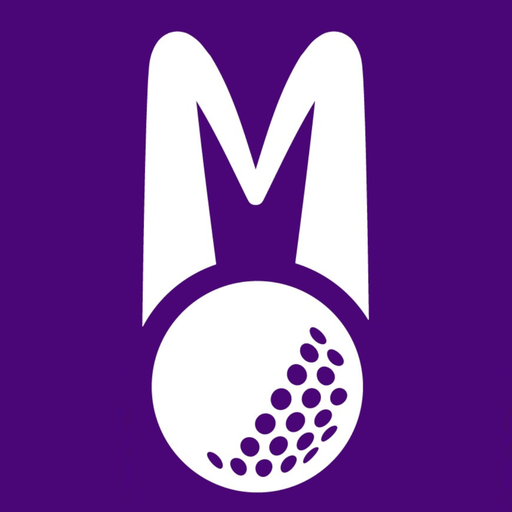 Mulli Swing Solutions logo