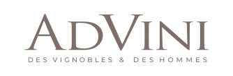 Advini logo