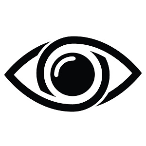 International Optometry logo