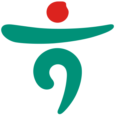 Hana Financial Group logo