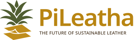 PiLeatha logo