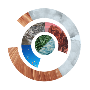 StartUpNV logo