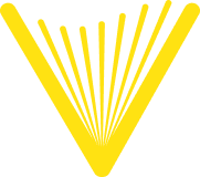 V logo