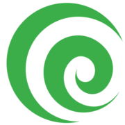 Koru Medical Systems logo