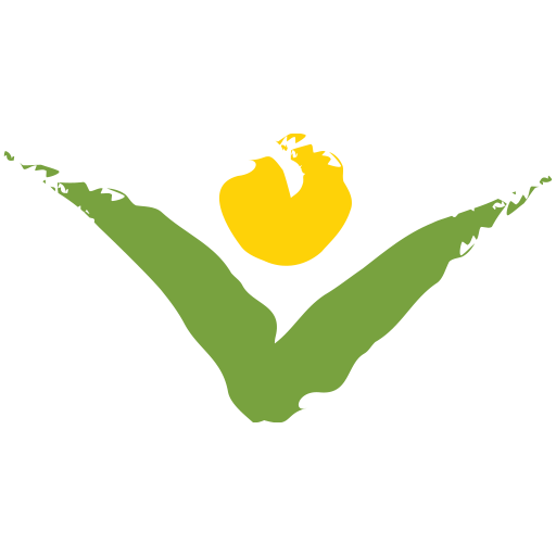 Missouri Central Credit Union logo