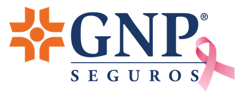 Grupo Nacional Provincial logo