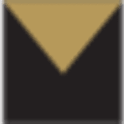 Nina Mason Pulliam logo