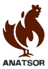 Anatsor logo