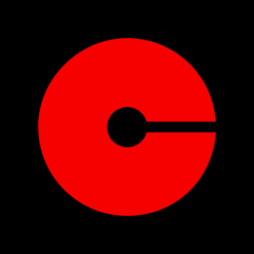 CFO Selections logo