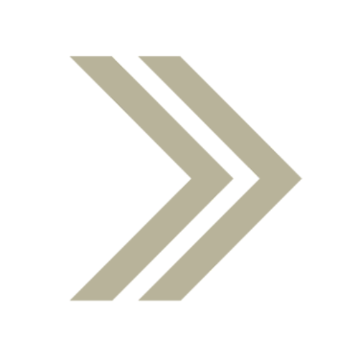 First National Bank Minnesota logo