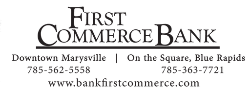 First Commerce Bank logo