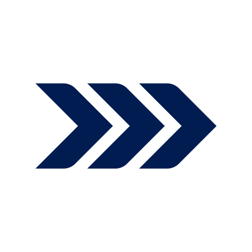 Pinsight logo