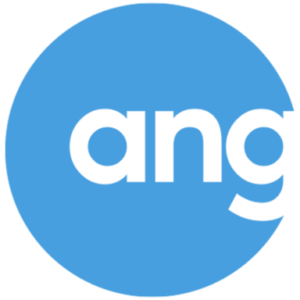 Angel Effect logo