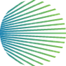 Piva Capital