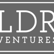 LDR Ventures logo