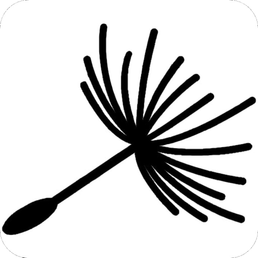 Savyon Ventures logo