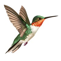 Escalante