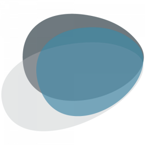 Grey Silo Ventures logo