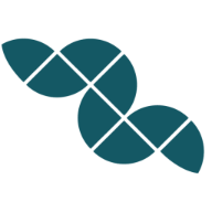 Deep Fission logo