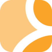 Identity Data Solutions logo